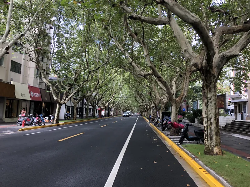 生日庆贺