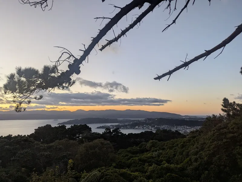 惠灵顿的清晨