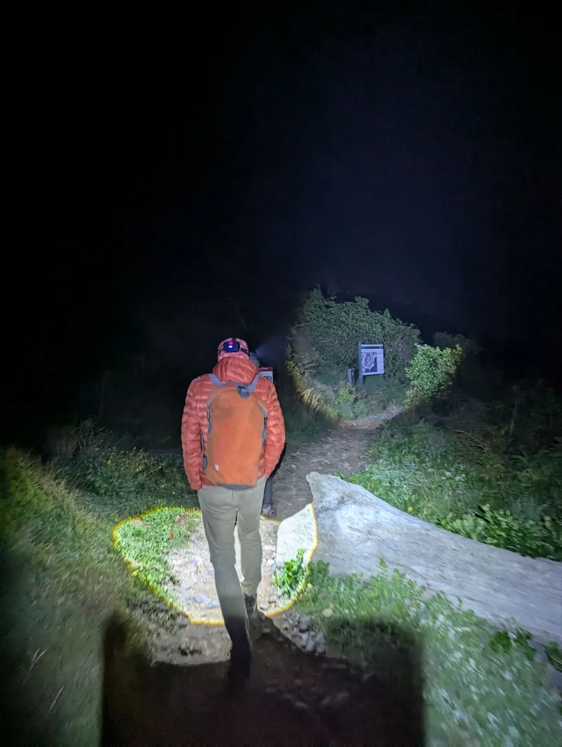 夜间捕捞场景